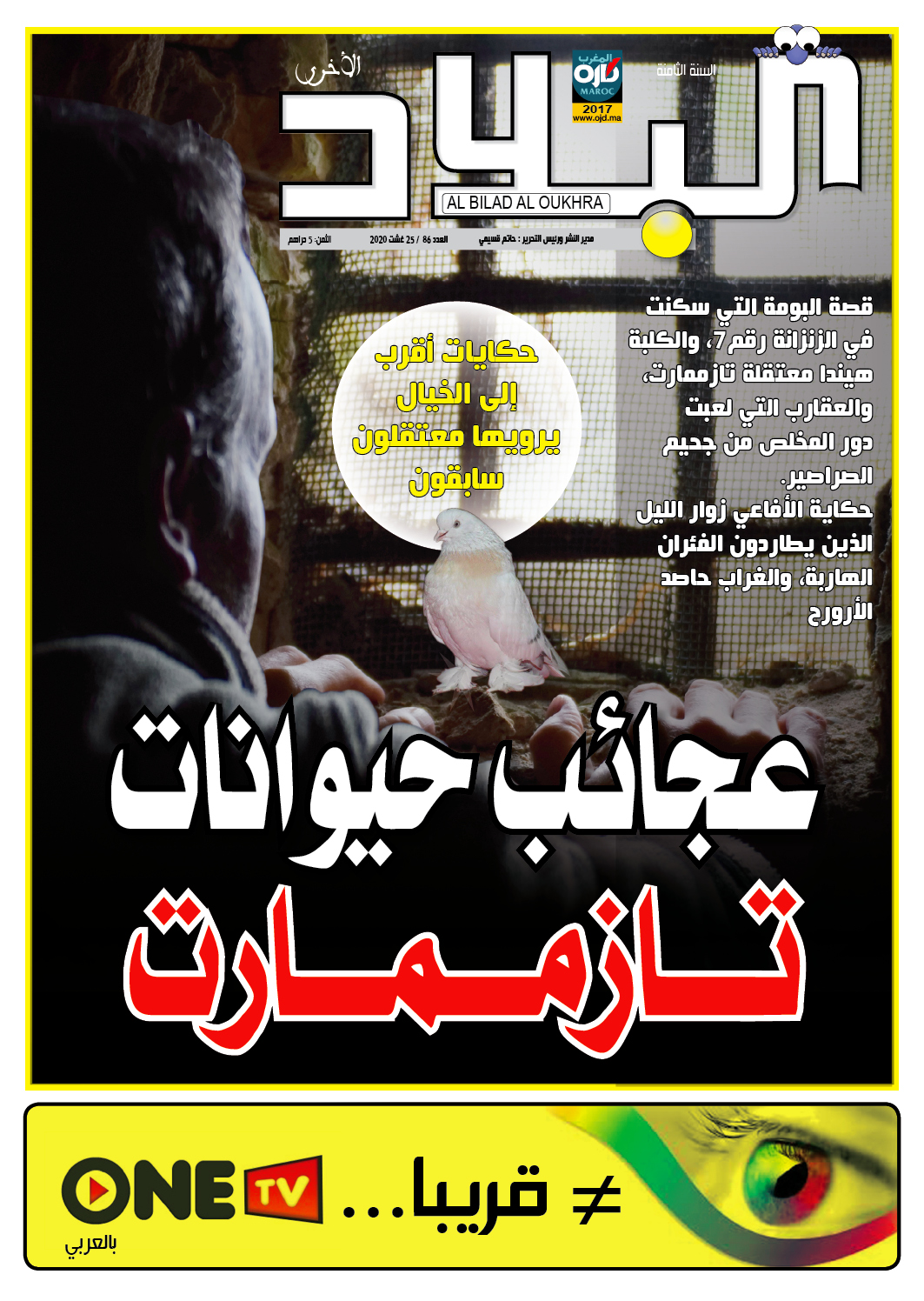 أرشيف 8